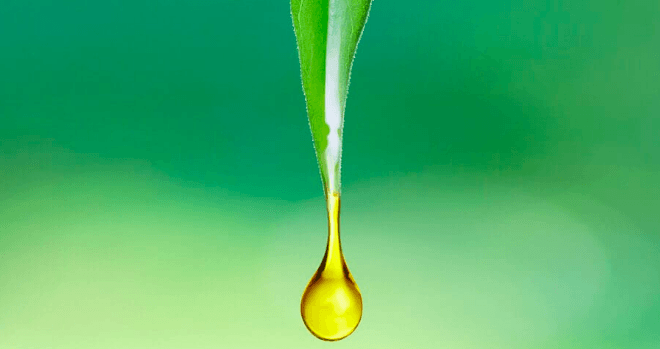 oil